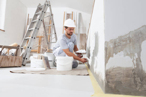 Best Residential Painting  in Elkader, IA